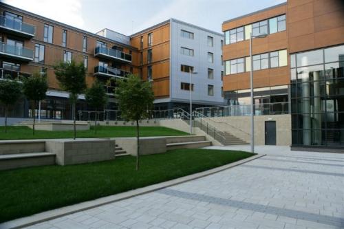 wood cladding buildings