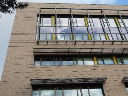 wood clad coloured windows